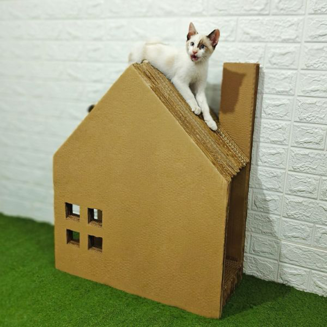 Moldes Arranhador para Gatos